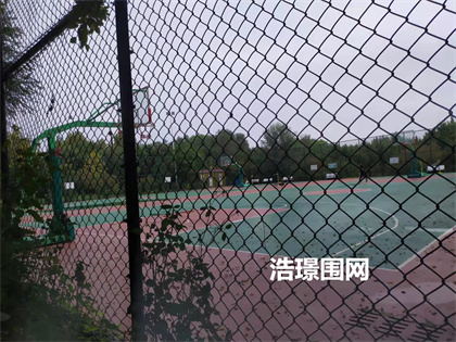 球場圍欄網(wǎng)